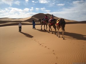 Sahara Garden Bivouac