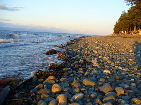 Healing Power of the Ocean