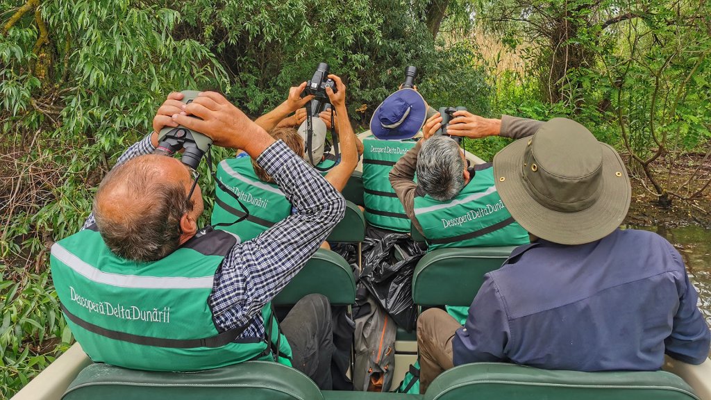 Birding From Specialized Boat | Birdwatching Day Trip To The Danube Delta - Privat | Tulcea, Romania | Birdwatching | Image #1/6 | 