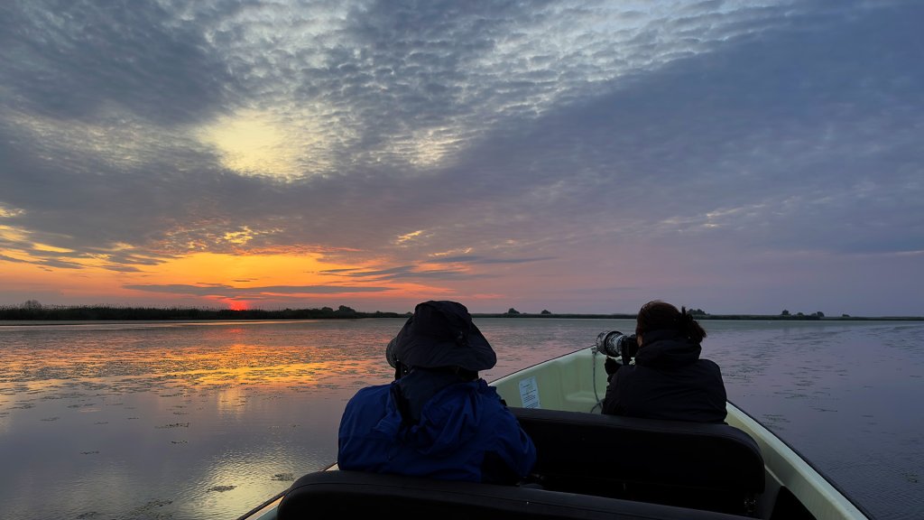 Birdwatching Day Trip To The Danube Delta - Privat | Image #6/6 | 