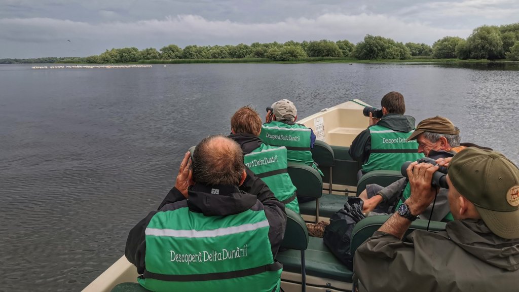 Birdwatching Day Trip To The Danube Delta - Privat | Image #2/6 | 