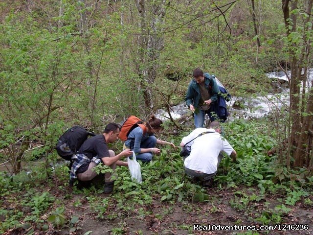 Foraging and Bushcraft | Biosphere Reserve Romantic Weekend | Image #15/23 | 