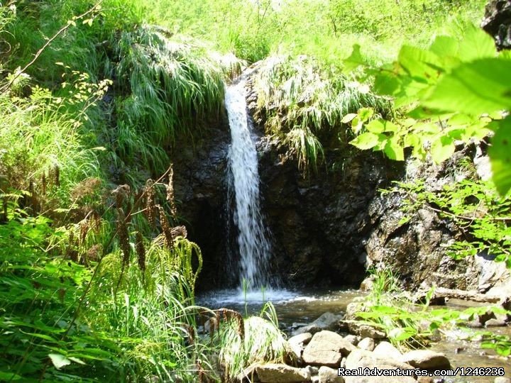 Stream, nearby | Biosphere Reserve Romantic Weekend | Image #21/23 | 