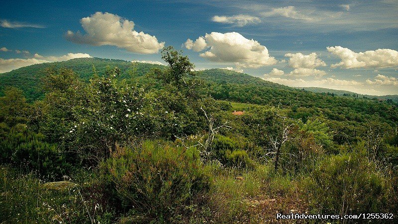 Panoramic view of the Tuscan farmhouse in the reserve | Hunting in Tuscany 'Riserva di Caccia Le Corniole' | Image #11/26 | 