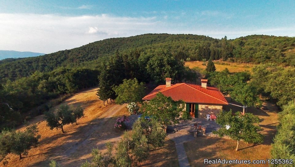 Panoramic view of the Tuscan farmhouse in the reserve | Hunting in Tuscany 'Riserva di Caccia Le Corniole' | Civitella In Val Di Chiana, Italy | Hunting Trips | Image #1/26 | 