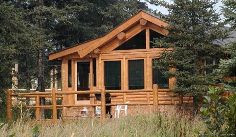 Moose Cabin