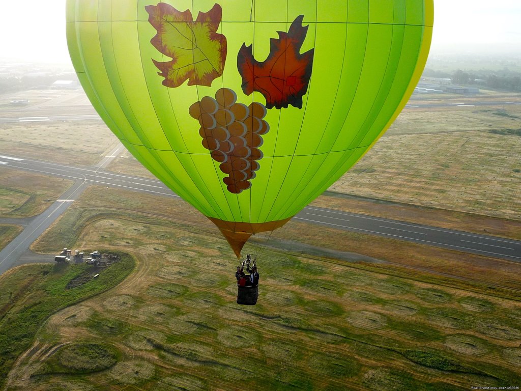 A Nature Walk In The Sky | Wine Country Balloons | Image #2/4 | 