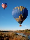 Apex Balloons | Albuquerque, New Mexico