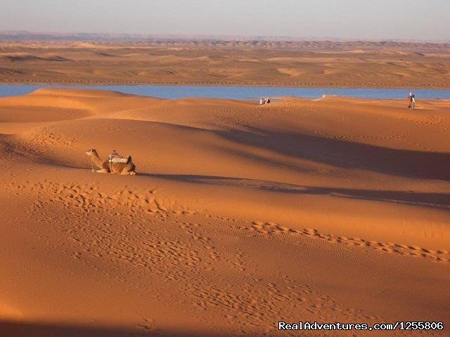 Morocco oasis | Marrakechsafari Offre Tours around Morocco. | Marrakech, Morocco | Sight-Seeing Tours | Image #1/9 | 