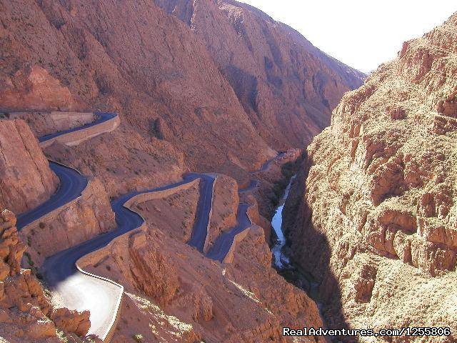 Dades | Marrakechsafari Offre Tours around Morocco. | Image #9/9 | 