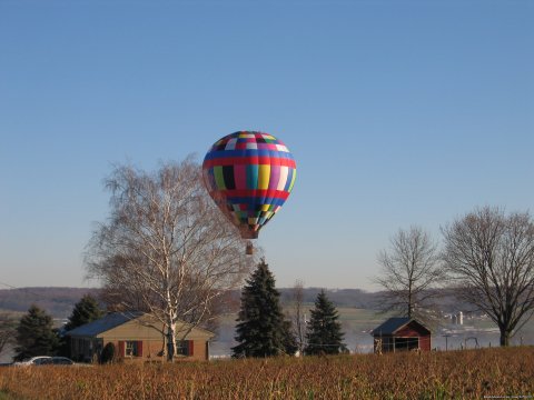 Winter flight