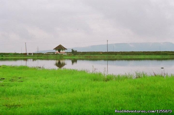 Madayipara | Top luxury resort in Ezhimala, Kerala, India | Image #15/19 | 