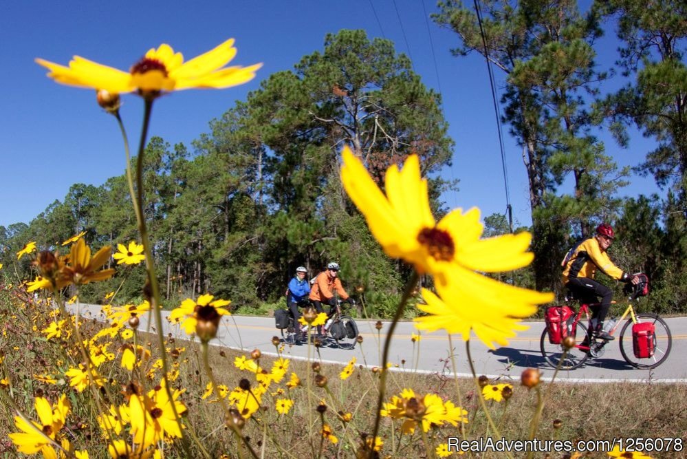 Flowers | Bike Florida | Amelia Island Hub Tour | Image #3/17 | 