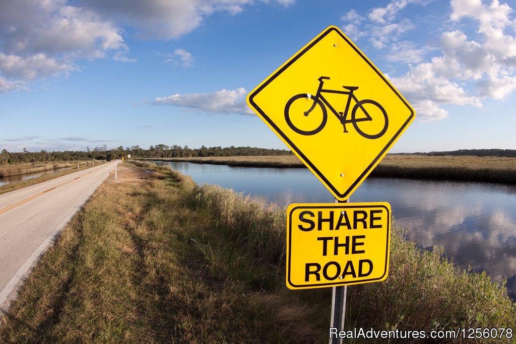 Share the Road | Bike Florida | Amelia Island Hub Tour | Image #8/17 | 