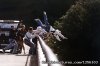 Icarus Bungee | Central Coast, California