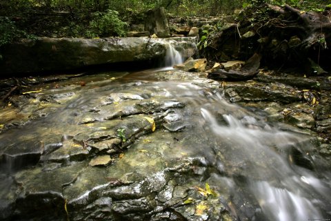 Natural Spring