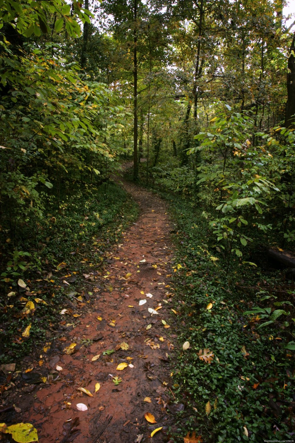 Trails | Lost River Cave | Image #5/7 | 