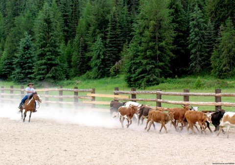 Practicing cattle work