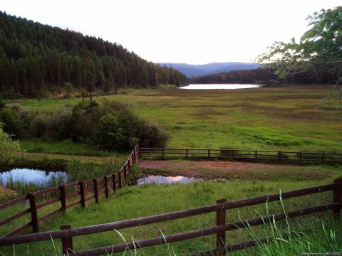 Spring at the ranch