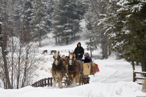 Winter Sleigh Ride