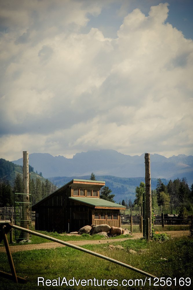 Chicken Coop | The Home Ranch | Image #8/22 | 