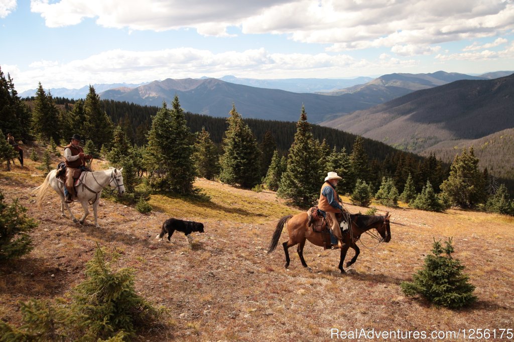 Incredible horseback rides | Bar Lazy J Guest Ranch | Image #4/19 | 