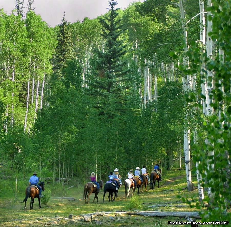 Riding  | Majestic Dude Ranch | Image #4/4 | 