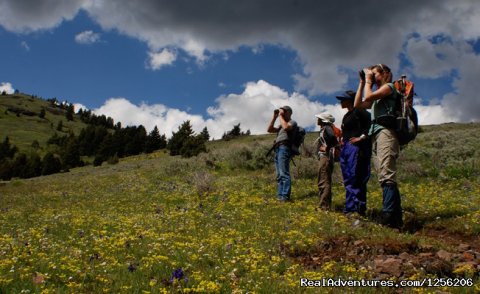 Spotting wildlife on a guided hike at Mountain Sky.