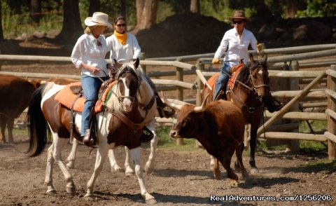 Team Penning