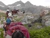 Mule Shoe Outfitters | Pinedale, Wyoming