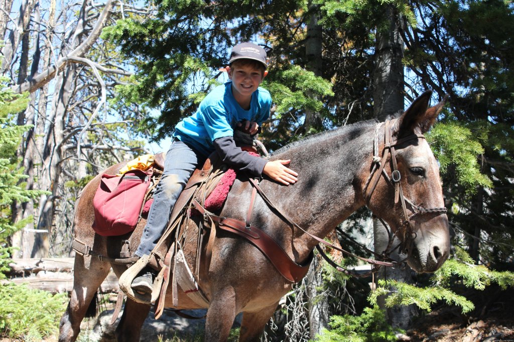 Trail ride | Mule Shoe Outfitters | Image #17/22 | 