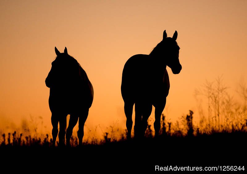 Bull Hill Guest Ranch | Image #2/2 | 