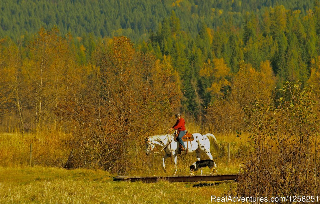 Western Pleasure Guest Ranch | Image #7/26 | 