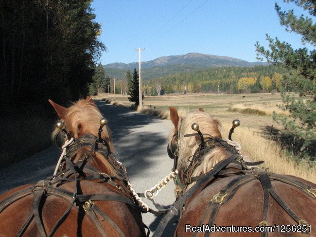 Western Pleasure Guest Ranch | Image #25/26 | 