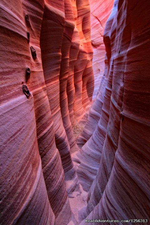 Slot Canyon, Escalante National Monument