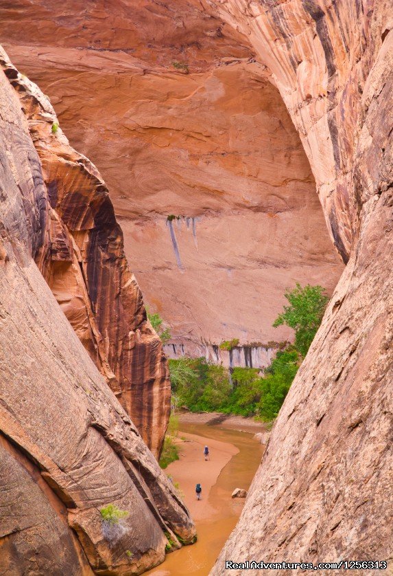 Coyote Gulch | Four Season Guides | Image #8/12 | 