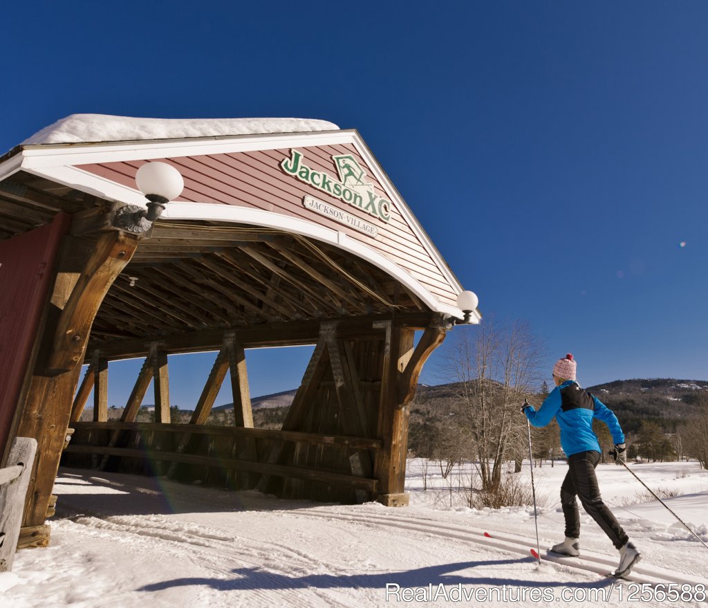 Jackson Ski Touring Foundation | Image #7/10 | 