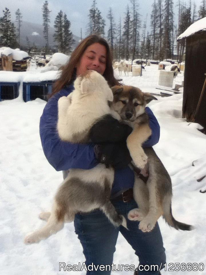 A guest enjoying some puppy time. | Dog Sled Rides of Winter Park | Image #4/5 | 