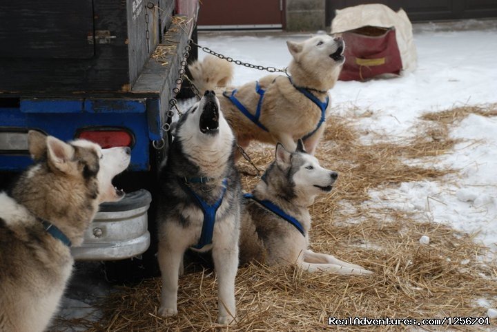 The anticipation | Afternoon of riding trail on horseback | Image #12/23 | 