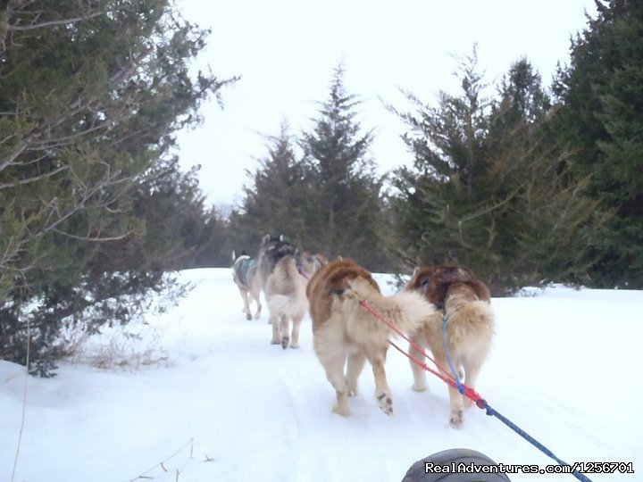 On the sled | Afternoon of riding trail on horseback | Image #15/23 | 