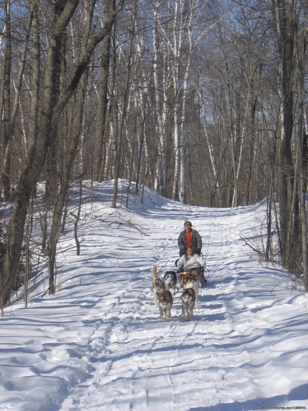 A beautiful day on the trail | Afternoon of riding trail on horseback | Image #18/23 | 