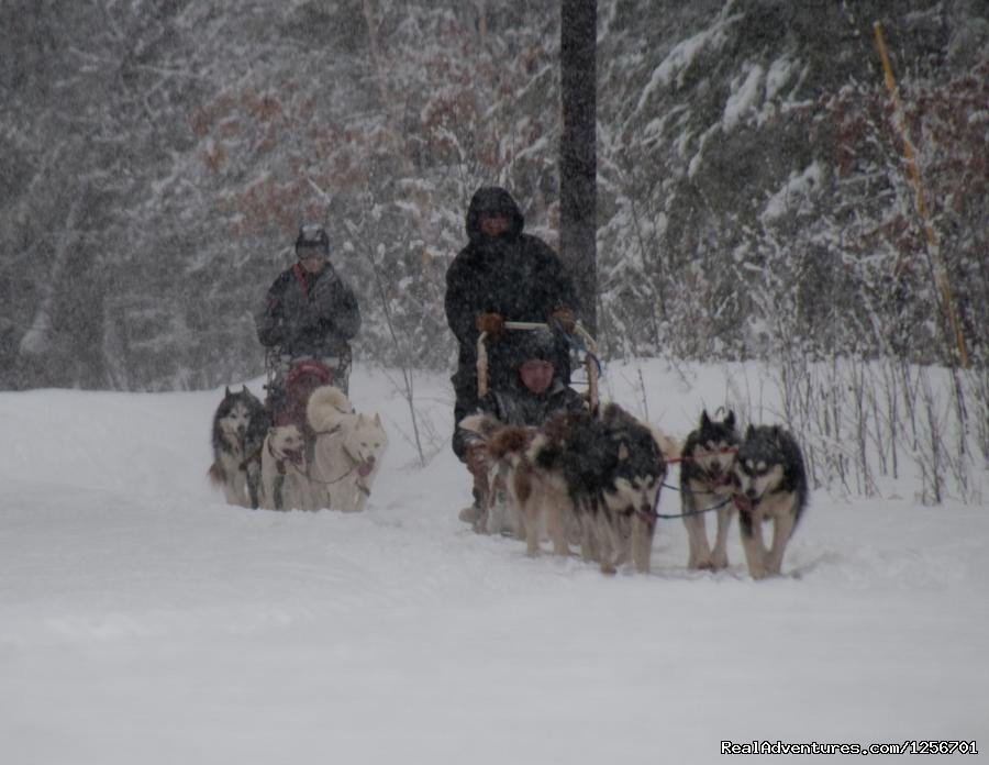 Afternoon of riding trail on horseback | Image #21/23 | 