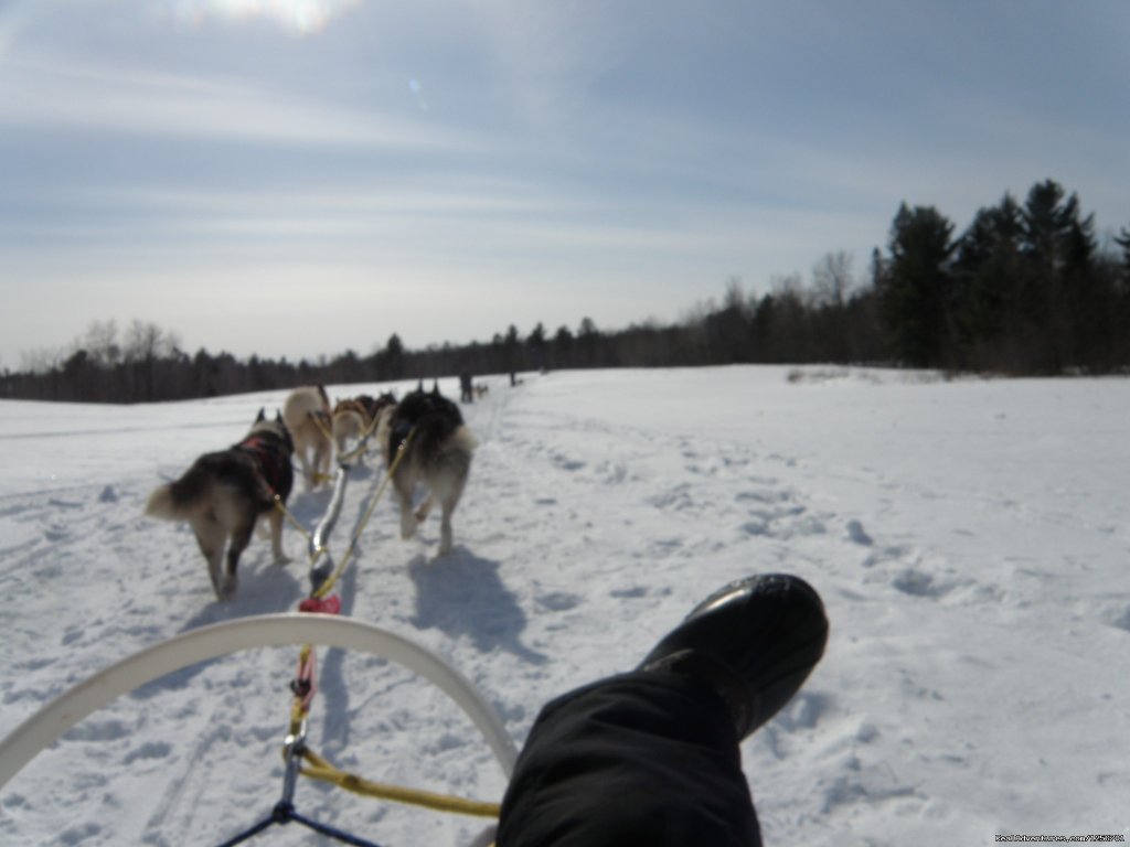 Afternoon of riding trail on horseback | Image #19/23 | 