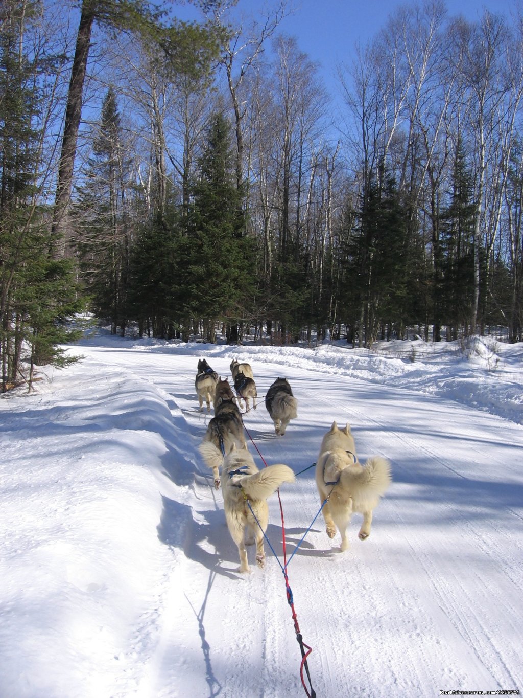 Afternoon of riding trail on horseback | Image #20/23 | 