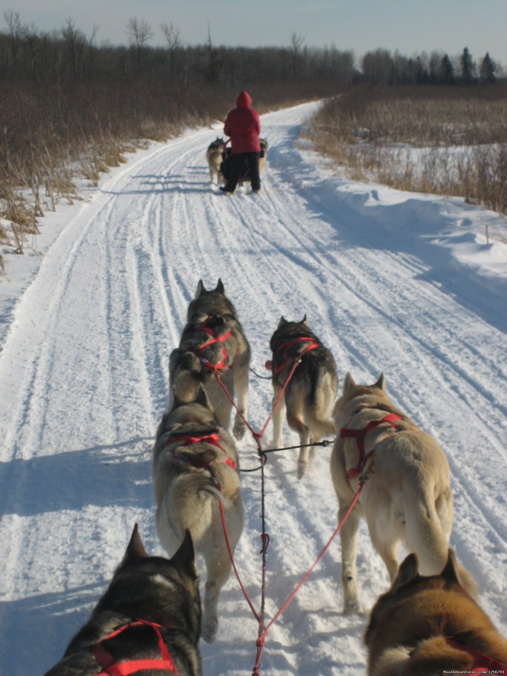 Afternoon of riding trail on horseback | Image #22/23 | 