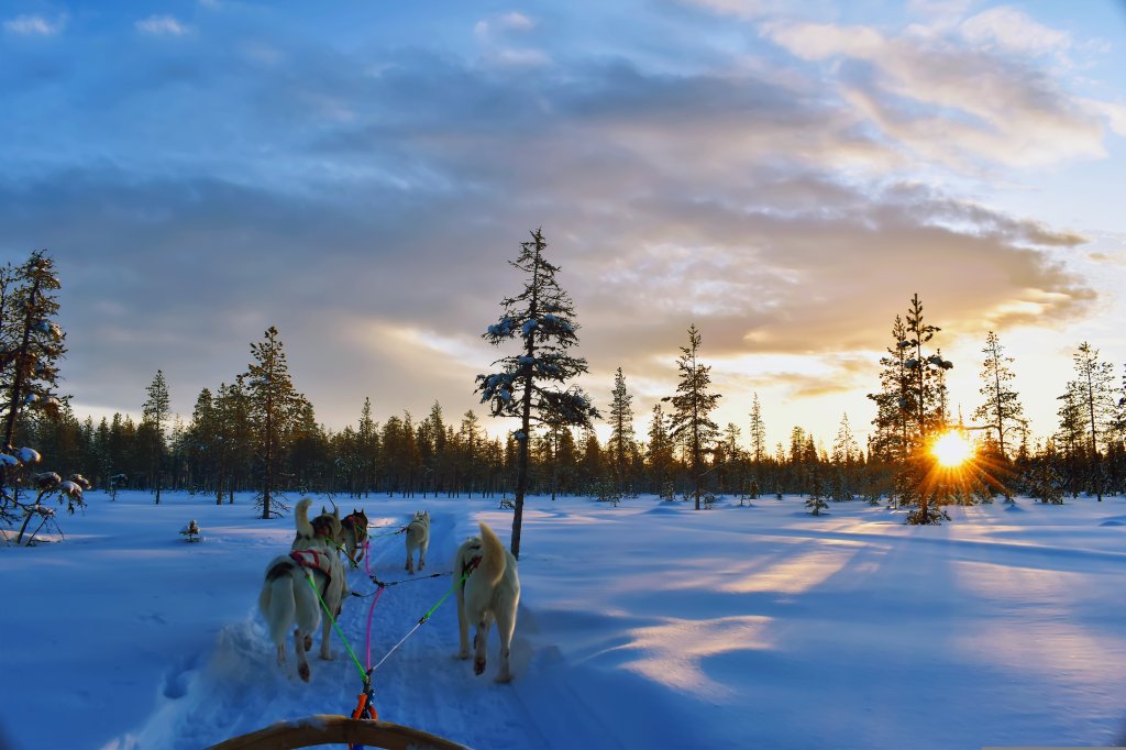 Dogsledding - Only 15 Minutes From Quebec City | Image #3/4 | 