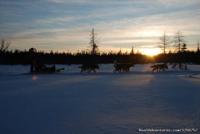 End Of The Day | Dogsledding - Only 15 Minutes From Quebec City | Image #2/4 | 