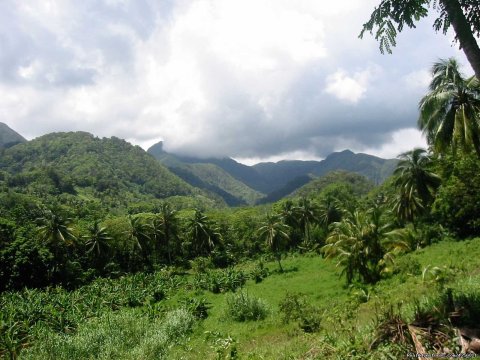 Riverside Lodge : Dominica's mountains view