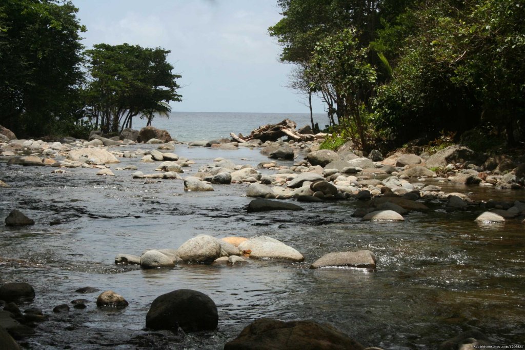 Riverside river to sea | Riverside Glamping in Dominica | Image #6/24 | 