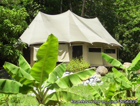 Riverside Glamping lodge : Ambazaman | Riverside Glamping in Dominica | Image #7/24 | 